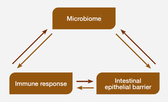 GI tract microbiome colonisation resistance